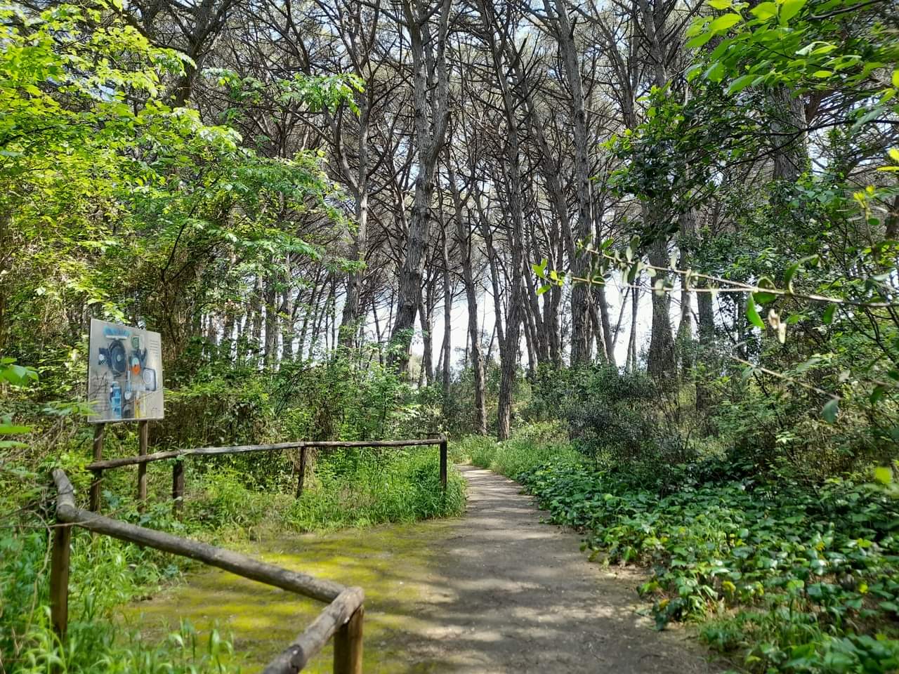 Il percorso green e digitale degli studenti del “De Vivo” di Agropoli per l’Oasi Dunale di Paestum