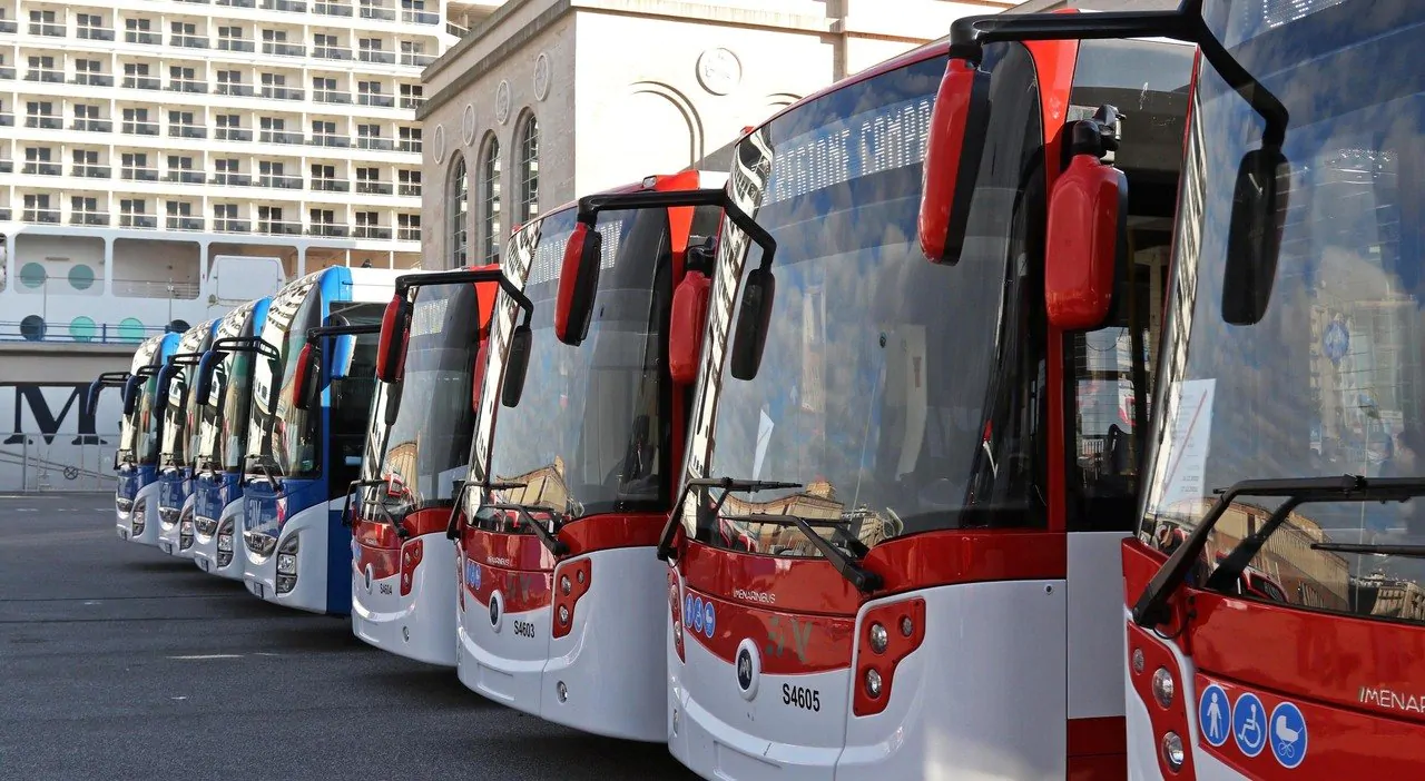 Regione Basilicata: «Attivazione servizio sostitutivo autobus Trenitalia per la Sicignano-Lagonegro»