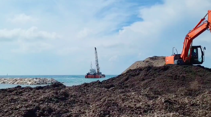 Agropoli, al via la rimozione della Posidonia dalla spiaggia del Lido Azzurro