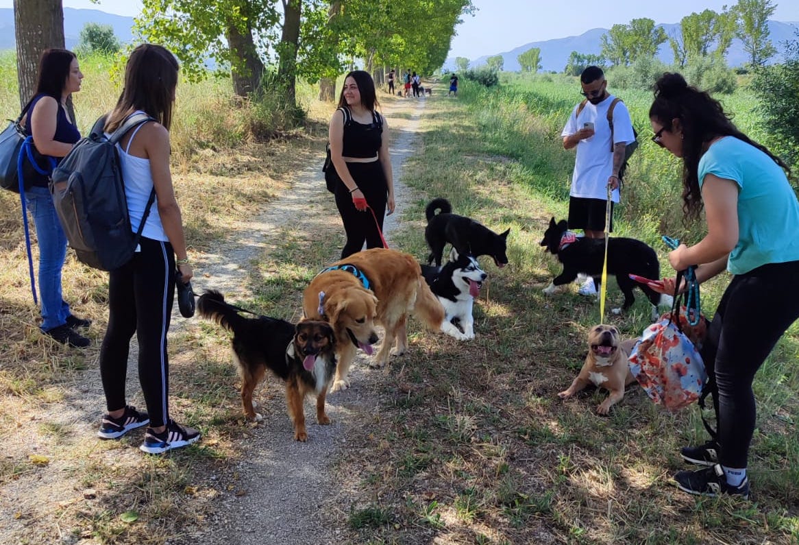 Passeggiate con i cani sul Tanagro: l’idea per la socializzazione e l’educazione cinofila