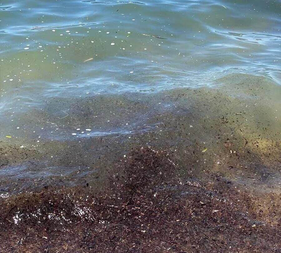 Schiuma in mare, Comune di Castellabate conferma la balneabilità della località Pozzillo