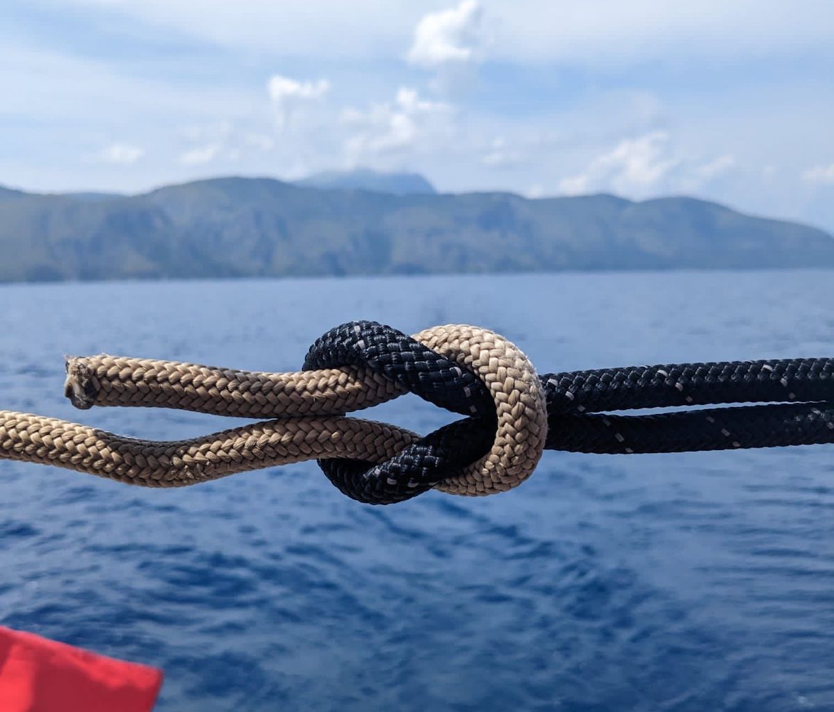 Area marina protetta Infreschi: Anton Dohrn e Cilento a Vela insieme per studio biodiversità marina