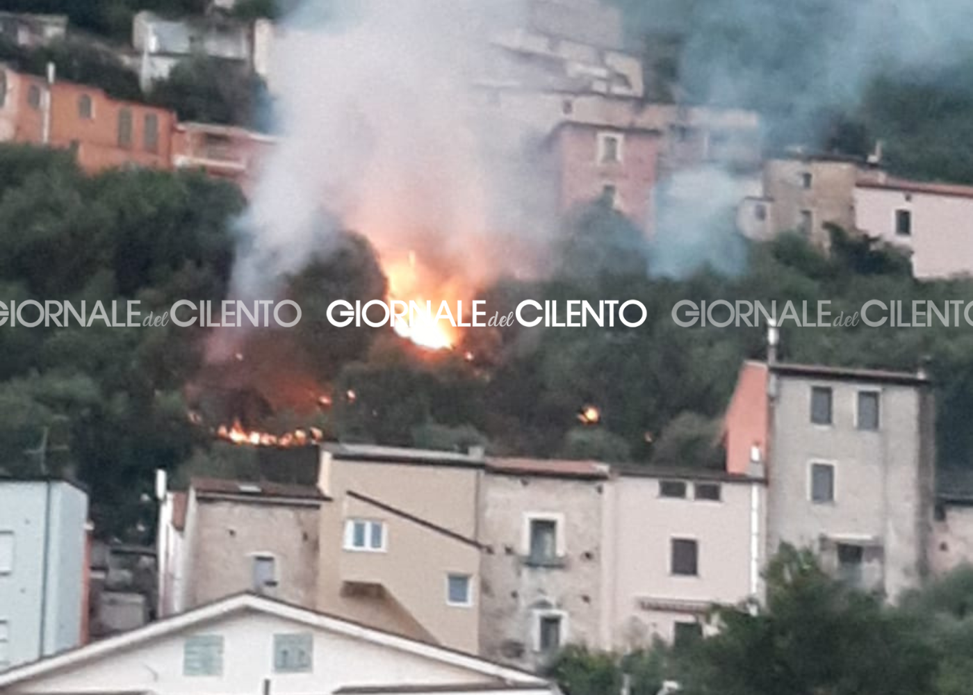 Uliveto in fiamme a Sala Consilina: intervengono i vigili del fuoco