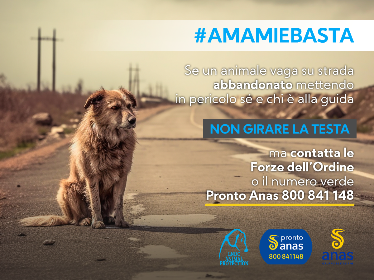 Torna la campagna di Anas contro l’abbandono di animali in strada e per la prevenzione degli incidente stradali