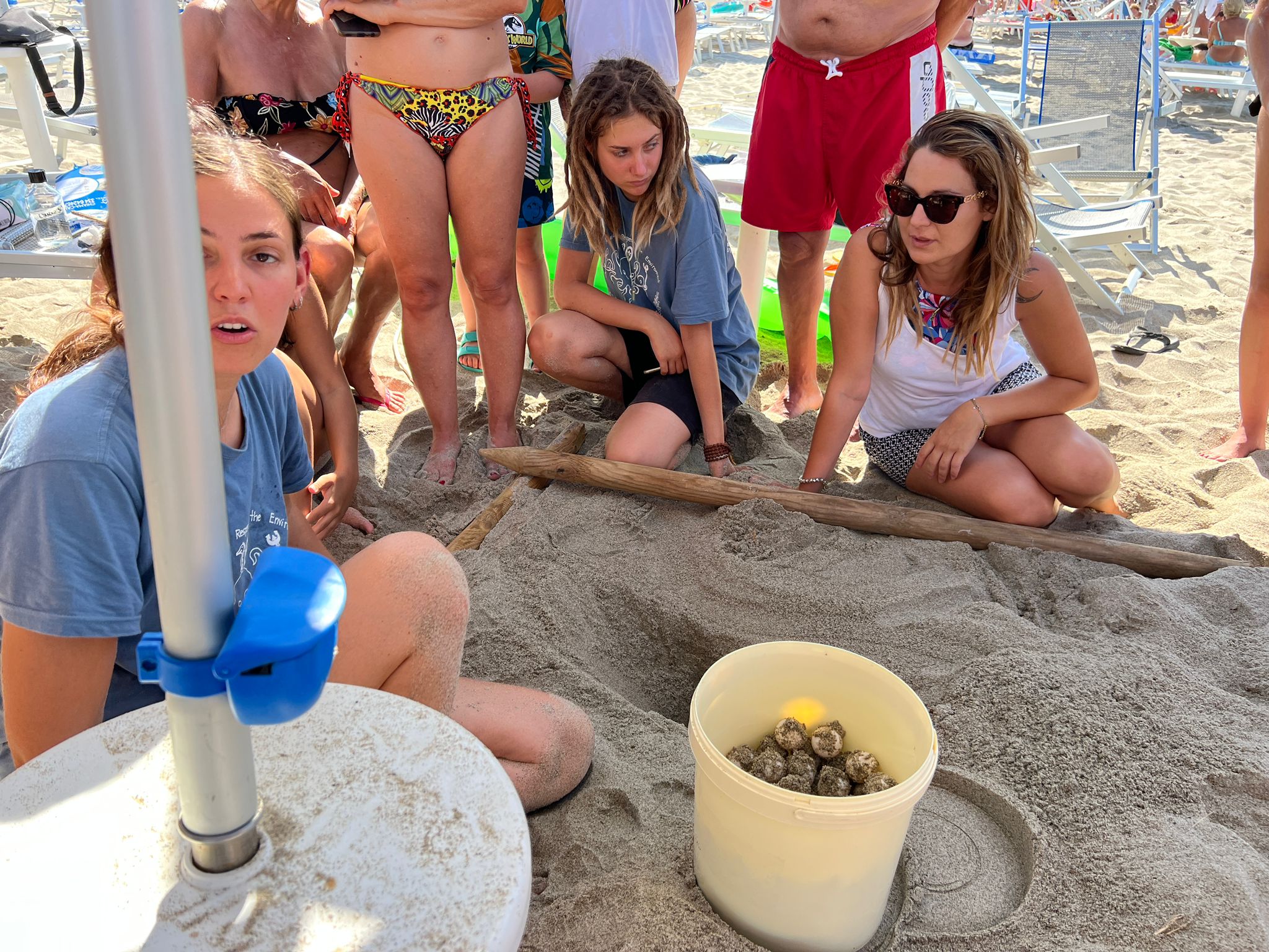 Secondo nido di tartaruga Caretta Caretta a Marina di Camerota