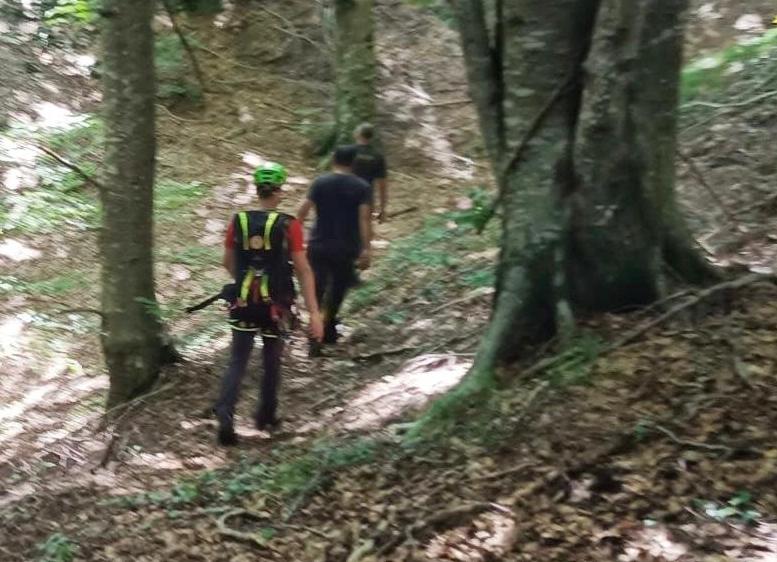 Trovato l’uomo disperso mentre andava a cercare funghi nel bosco