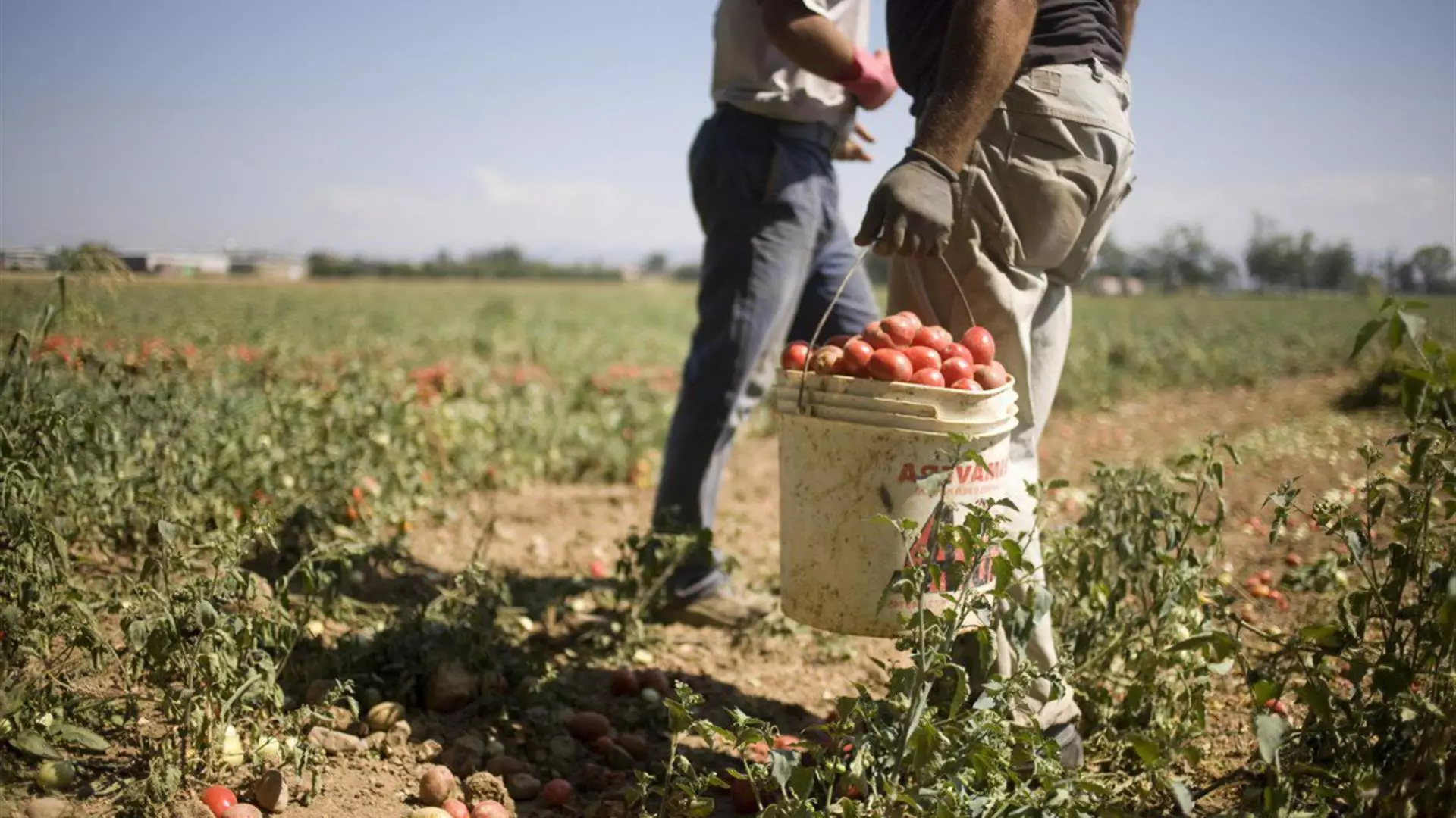 Sfruttamento lavorativo nella Piana del Sele: 34enne in manette