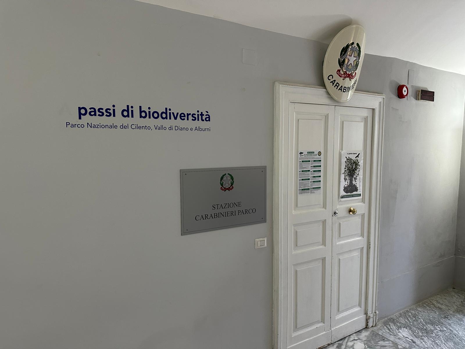 Abusi edilizi nel Cilento, operazione dei carabinieri forestali di Castellabate