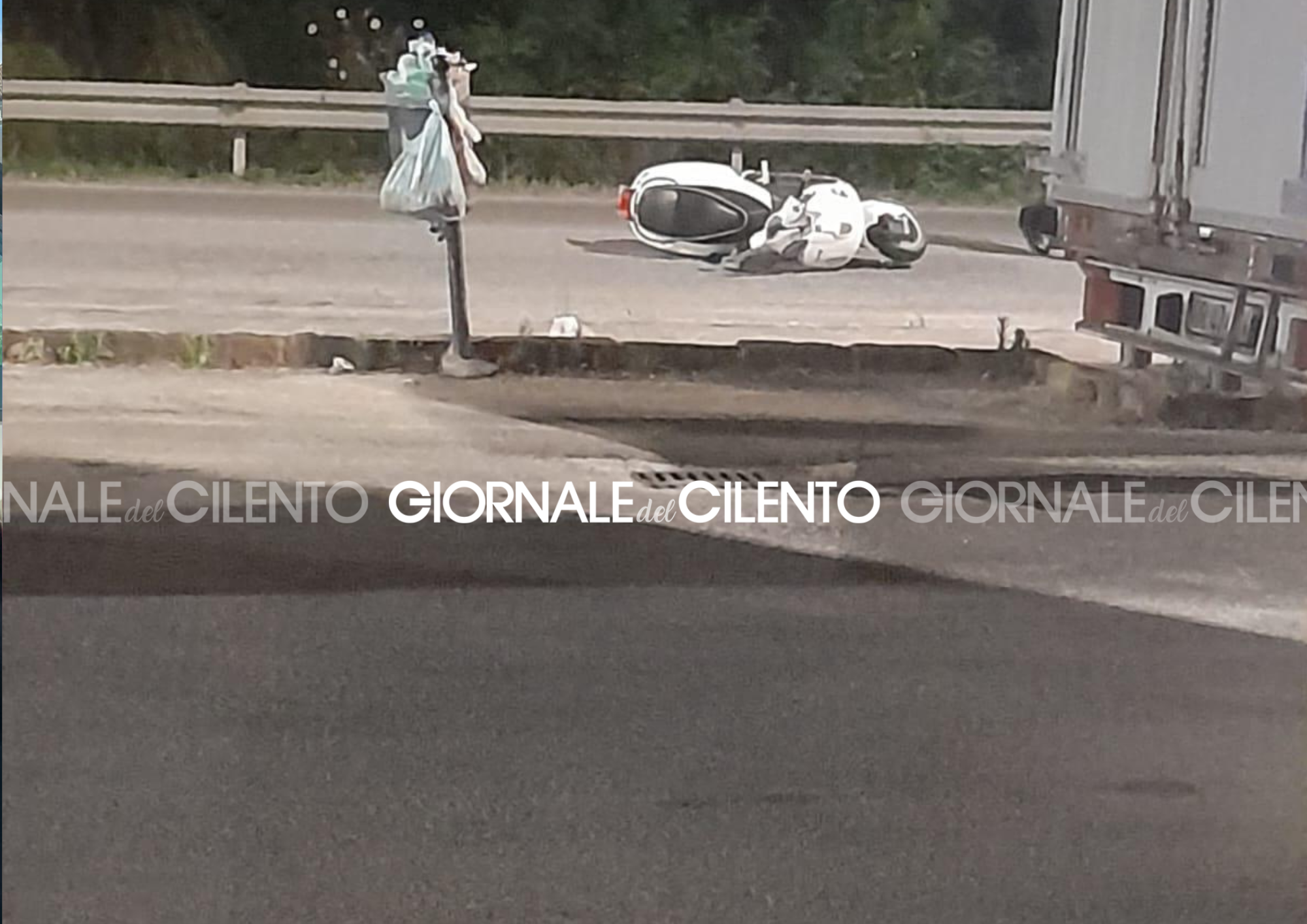 Scontro con un cinghiale, motociclista si schianta e finisce in ospedale