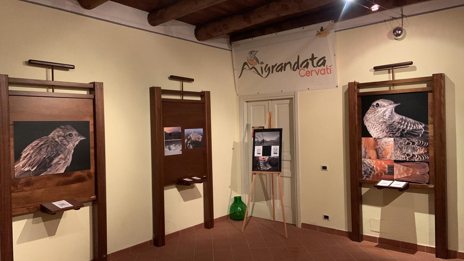 Avifauna delle vette in primo piano: la mostra fotografica a Casaletto Spartano