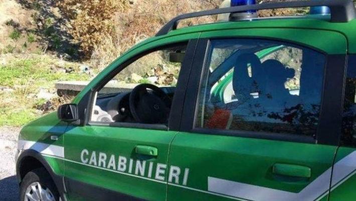 Corrente elettrica per stordire e catturare le trote: due denunciati a Montesano sulla Marcellana