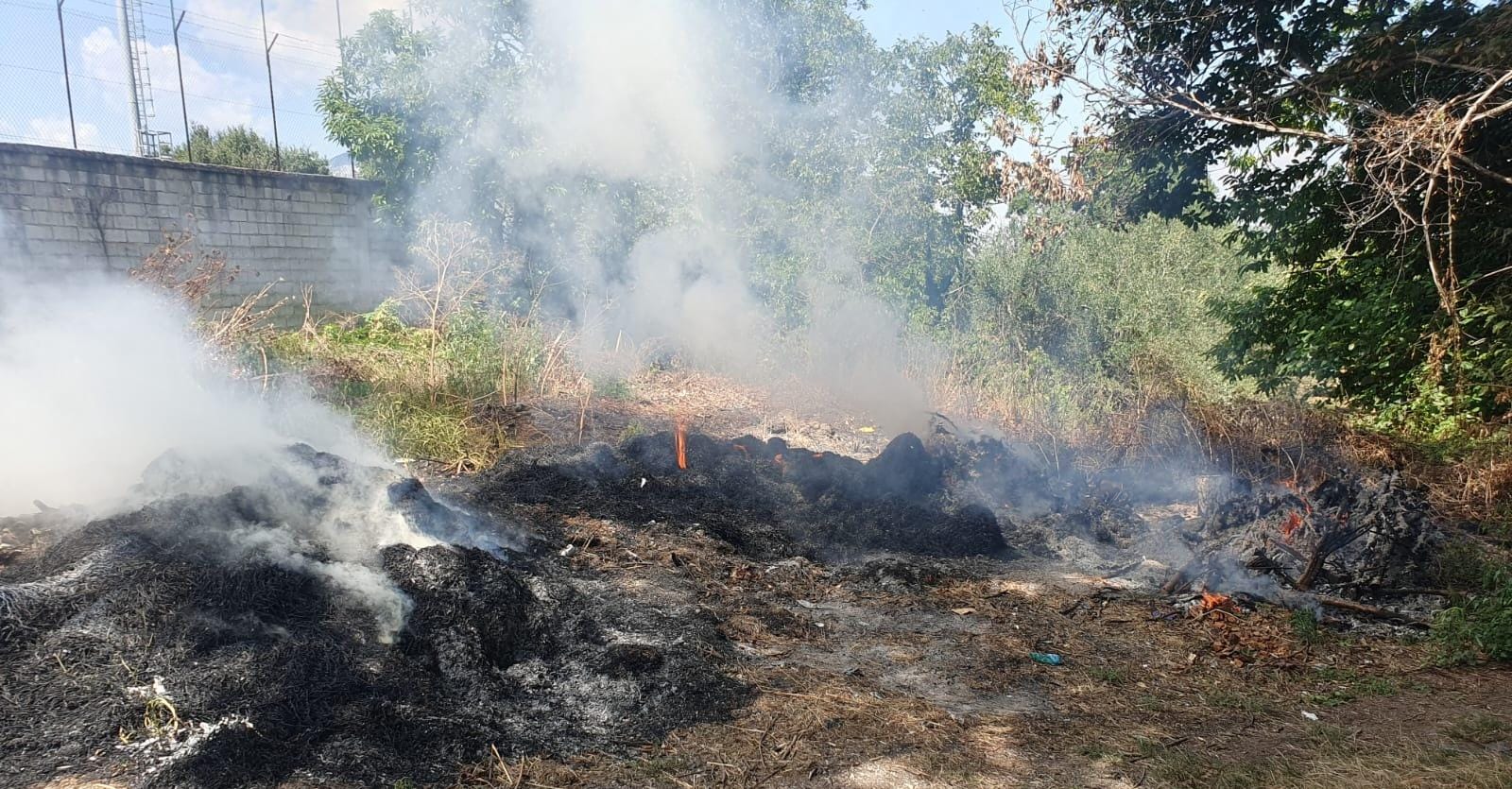 Sventato tentativo di incendio a Teggiano, prontezza dei cittadini salva un castagneto