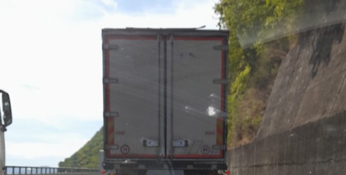 Camionista morso da insetto rischia shock anafilattico in autostrada: salvato