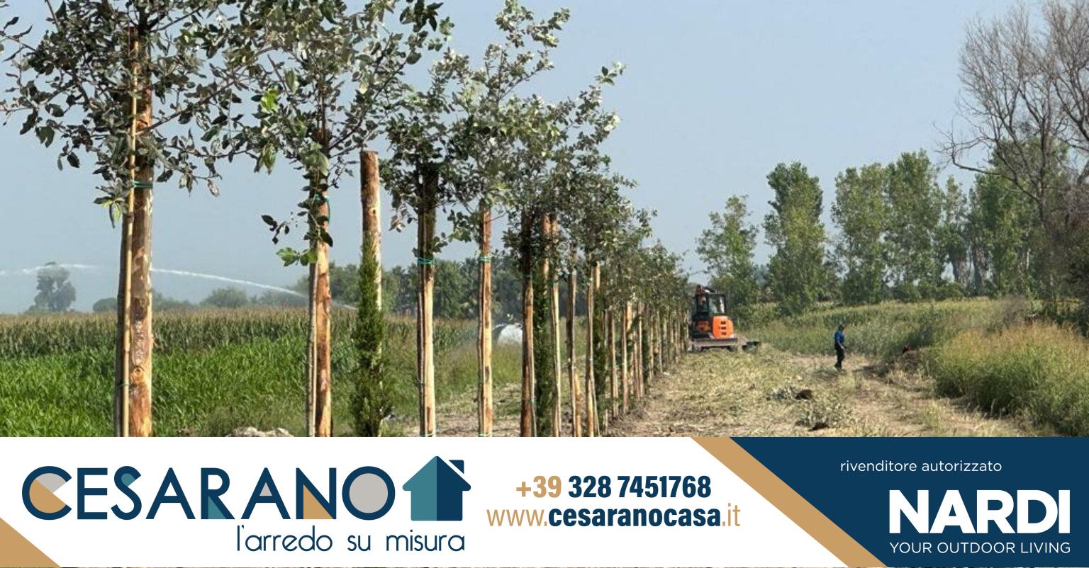 Il gesto del Consorzio Bonifica Paestum piantati 1500 alberi lungo il canale di Laura Nuova
