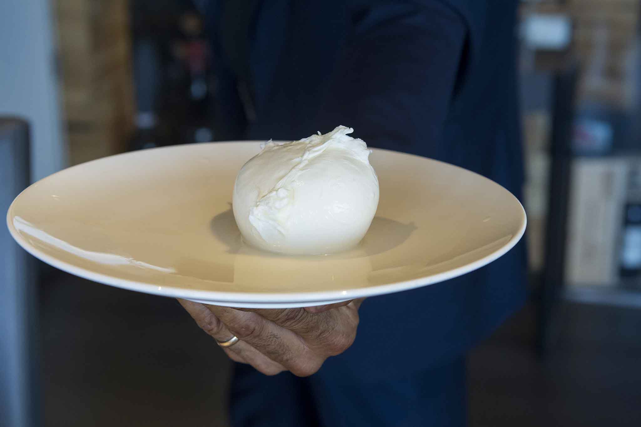 Bufale in tavola 2023, chi sono i vincitori del Campionato della mozzarella