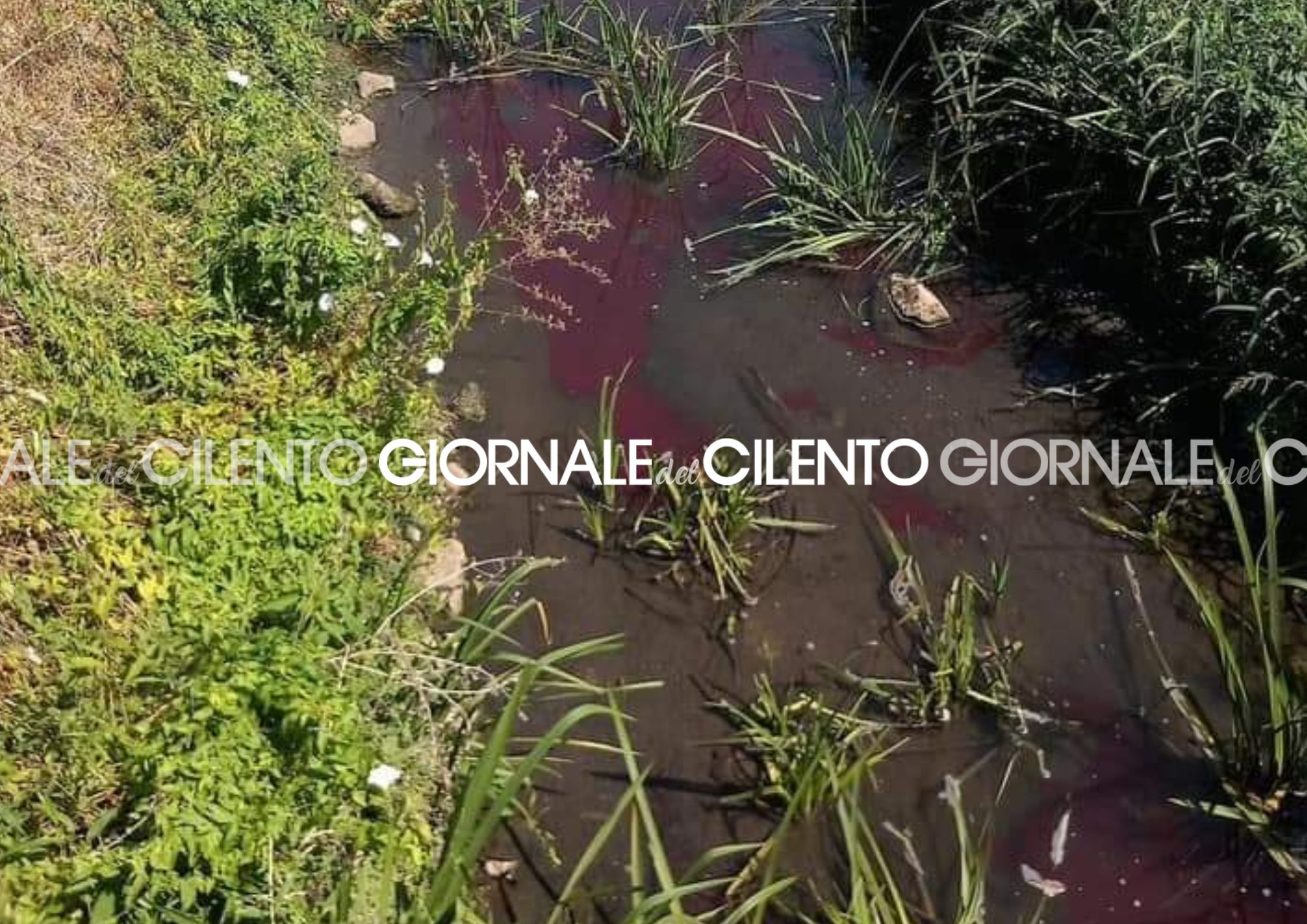 Macchie rosse in un canale a Sant’Arsenio: indagano Arpac e Polizia locale