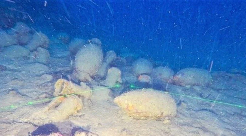 Nuova scoperta nel mare del Cilento: ritrovato un relitto di età romana con il suo carico di centinaia di anfore