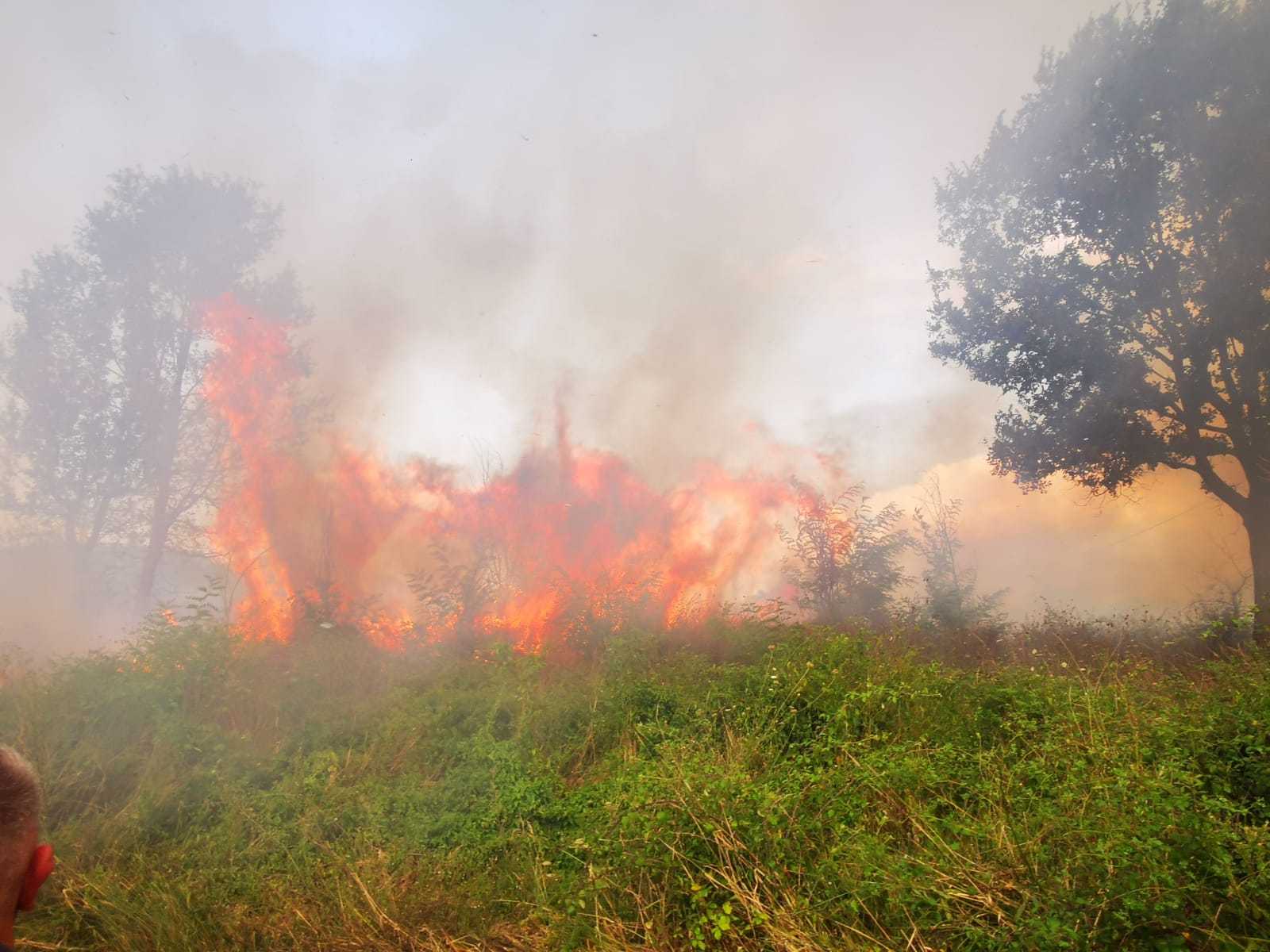 Auletta, fiamme a Santa Lucia: intervengono i vigili del fuoco