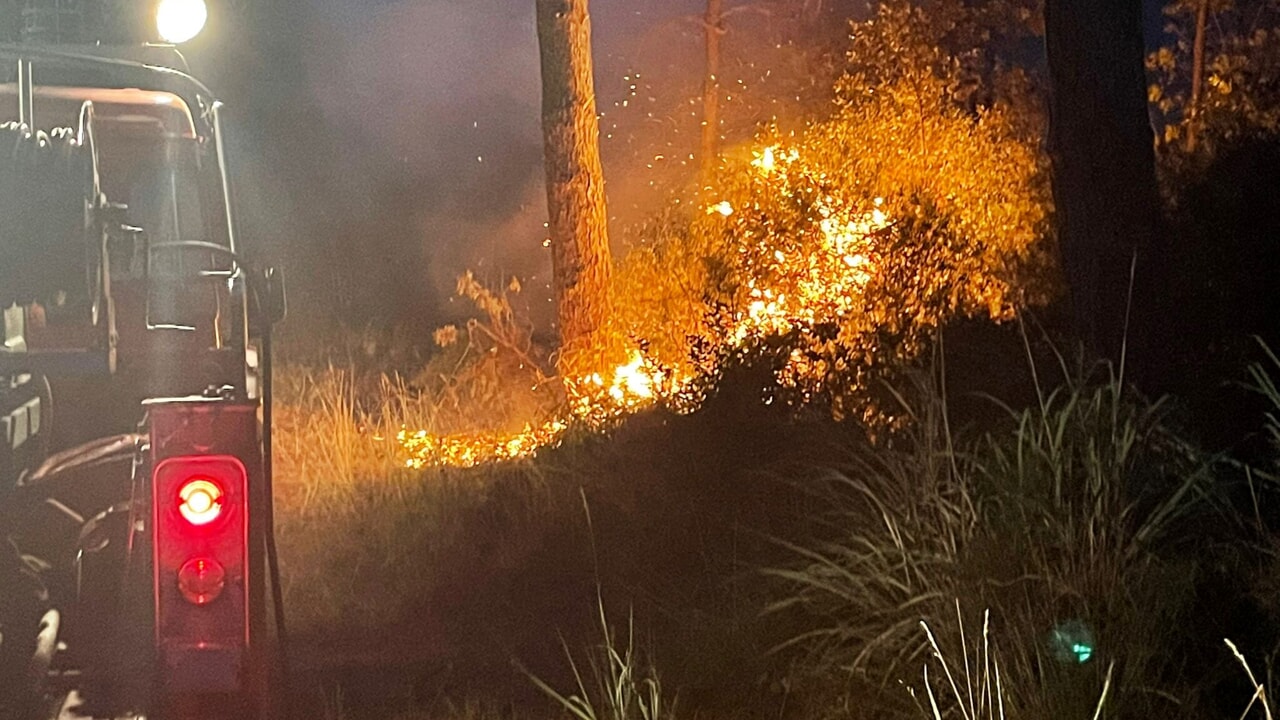 In fiamme la pineta lungo la litoranea: indagini in corso