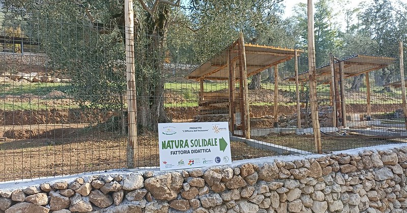 «Natura solidale in festa», la sagra che sostiene il Centro per disabili a Sala Consilina