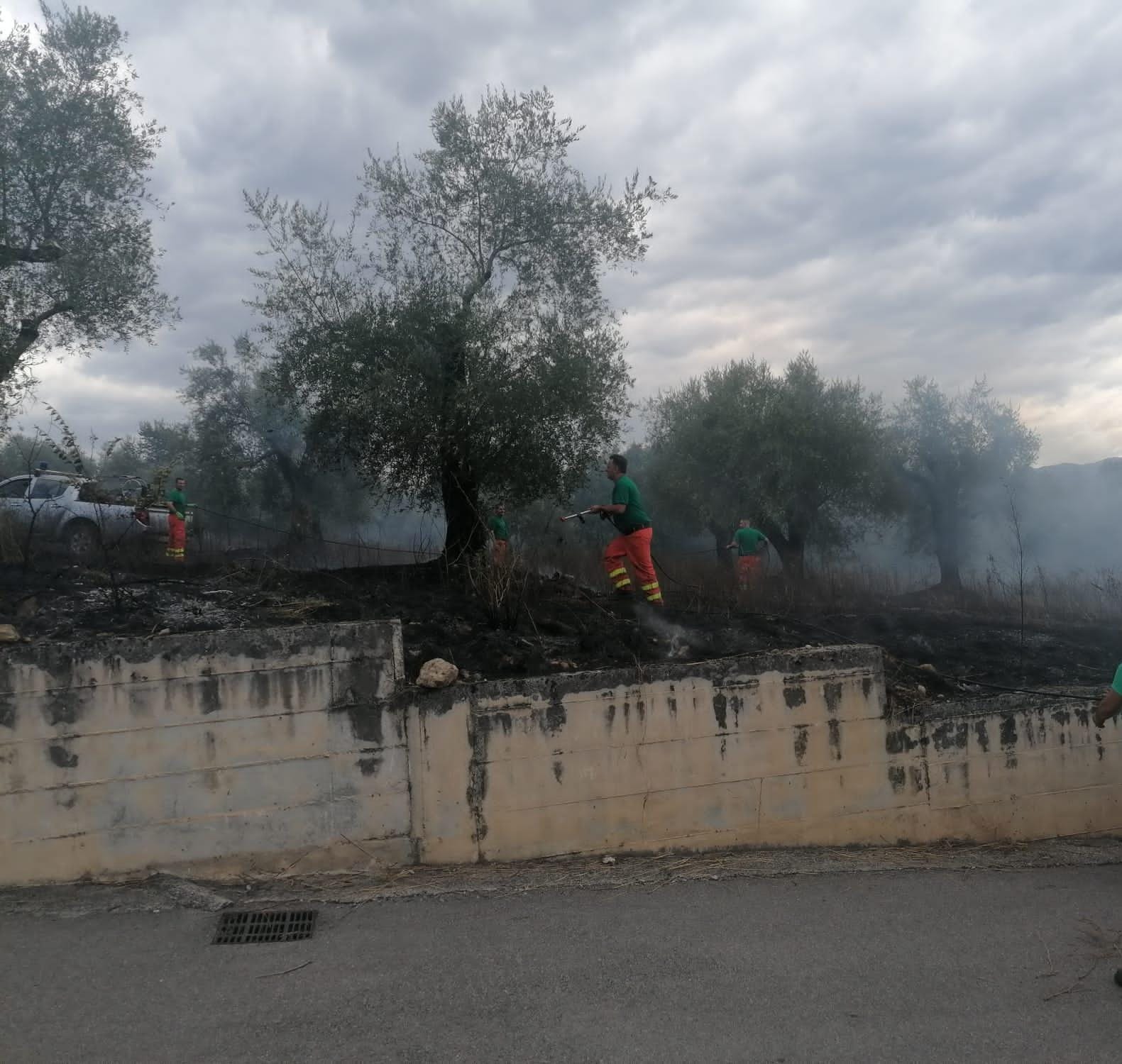 Incendio a Sala Consilina: in fumo 3mila mq di oliveti