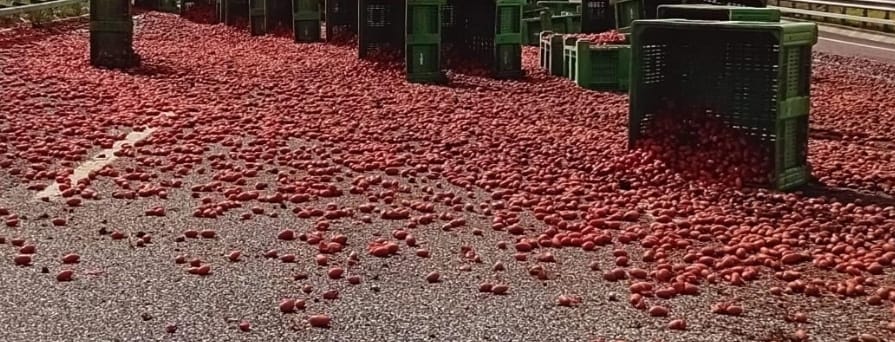 Ancora un carico di pomodori perso da un camion in A2: è successo a Contursi