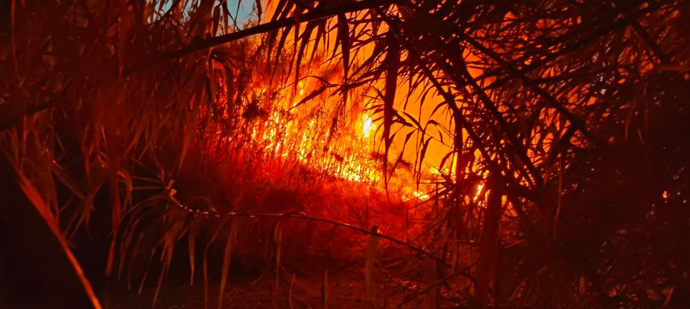 Incendio a Palinuro, colonna di fumo visibile da chilometri: sul posto i vigili del fuoco