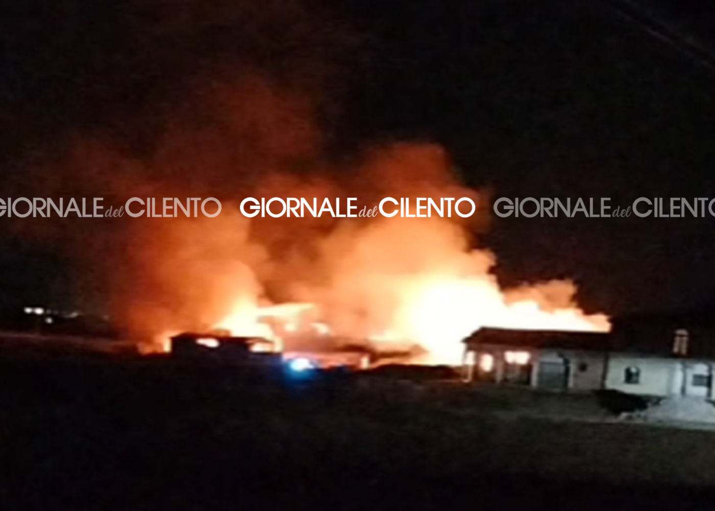 Cilento, incendio distrugge azienda zootecnica: avviate indagini