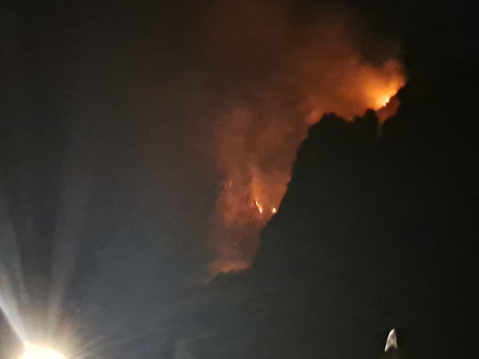 Fiamme nella notte a ridosso dell’area marina protetta costa degli Infreschi e della Masseta