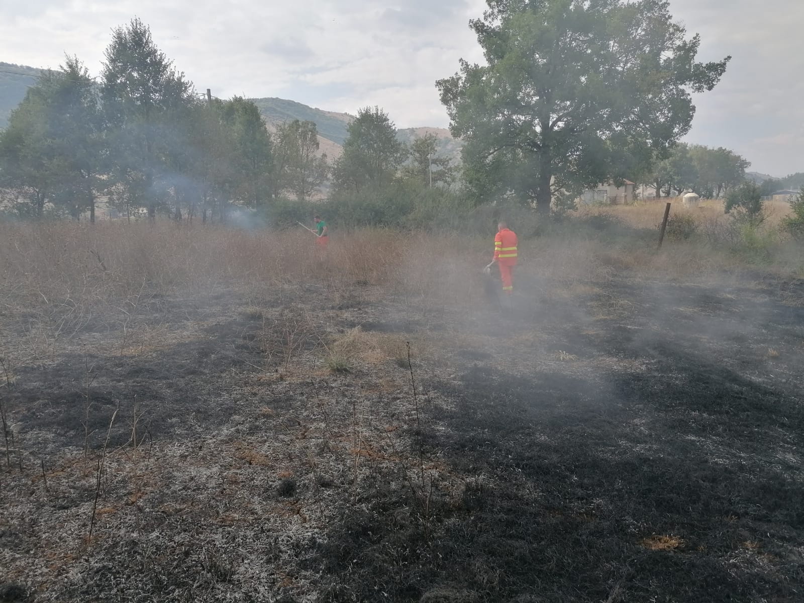 Buonabitacolo, incendio devasta piantagione di nocciole