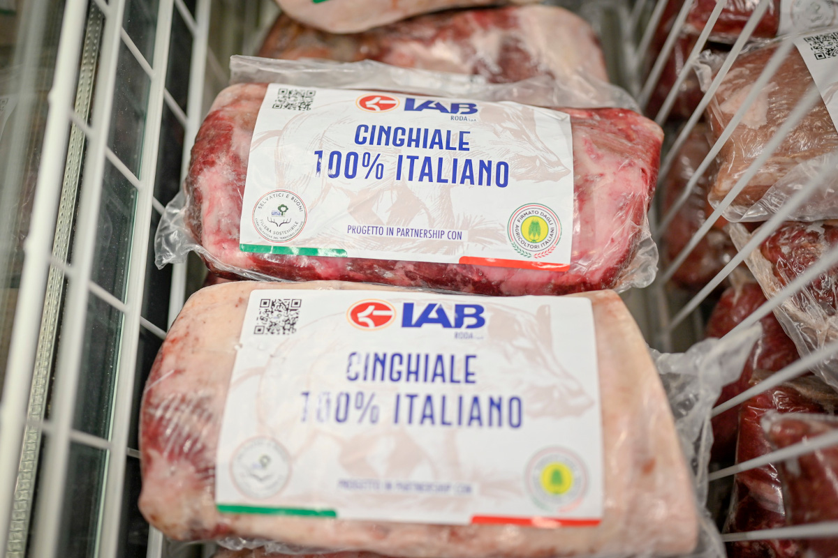 Filiera della carne di cinghiale operativa nel Parco nazionale del Cilento, Vallo di Diano e Alburni