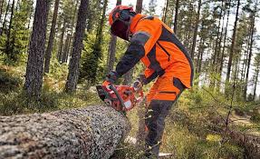 Idraulico forestali senza stipendio, la denuncia di Valitutto: una vergogna