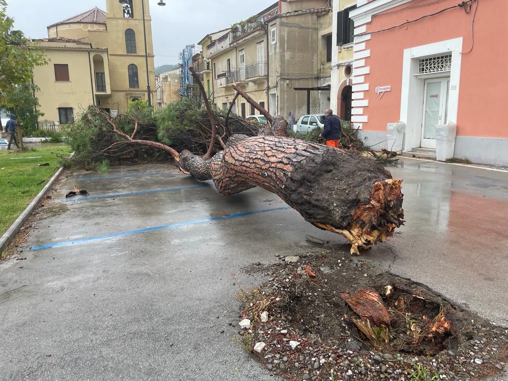 Maltempo nel Golfo di Policastro, alberi caduti per il forte vento a Villammare