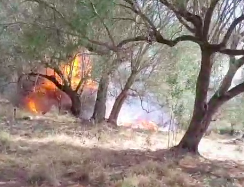 Incendio a Lentiscosa, fiamme divampano improvvisamente in casette di legno
