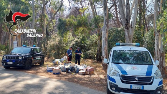 Abbandonano rifiuti in mezzo alla natura: due commercianti nei guai