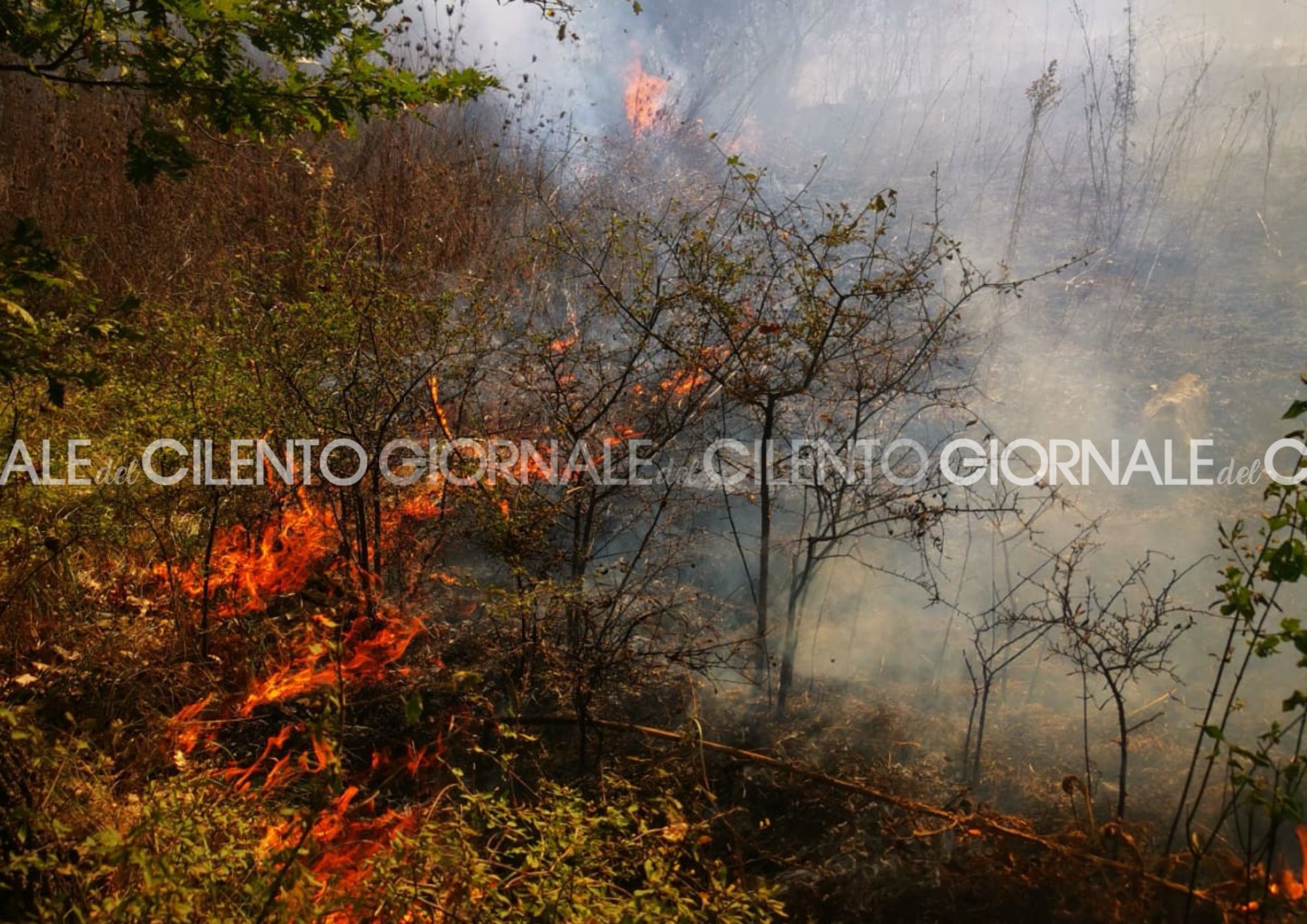 Montagna in fiamme tra Polla e Petina: è caccia al piromane
