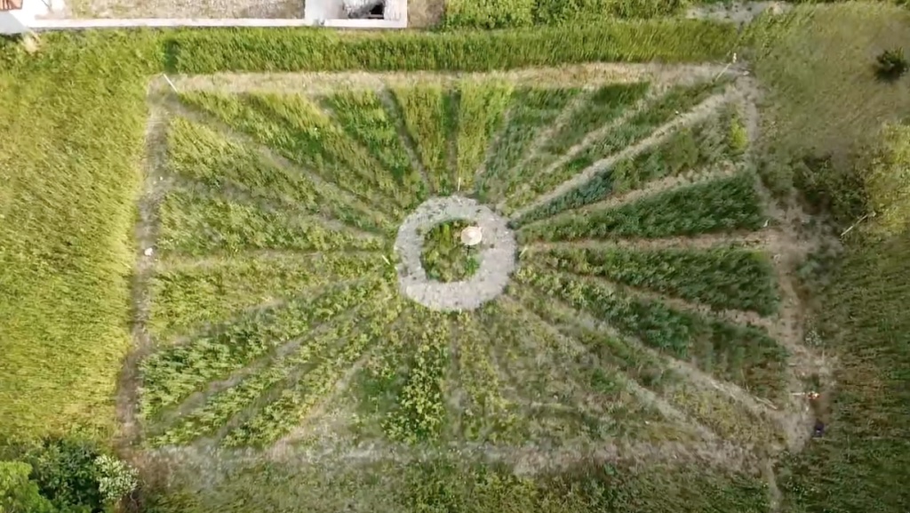 Le telecamere di Rai Scuola alla scoperta della Dieta Mediterranea tra Pioppi e Caselle in Pittari