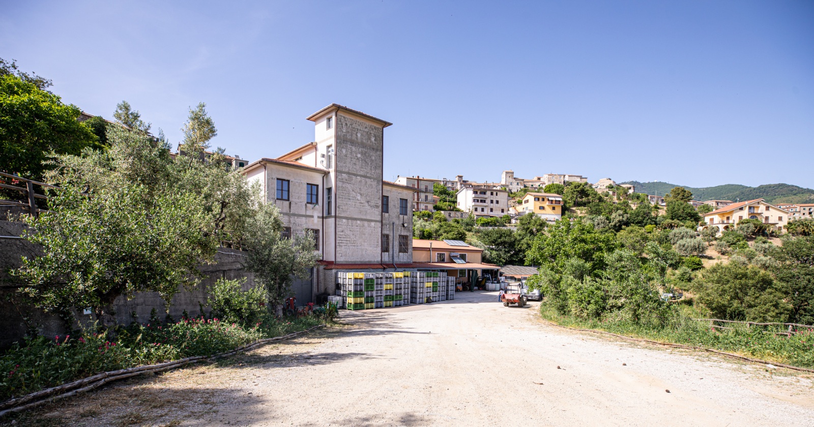 Novembre ai Frantoi, a San Mauro Cilento due giorni dedicati all’olio di oliva