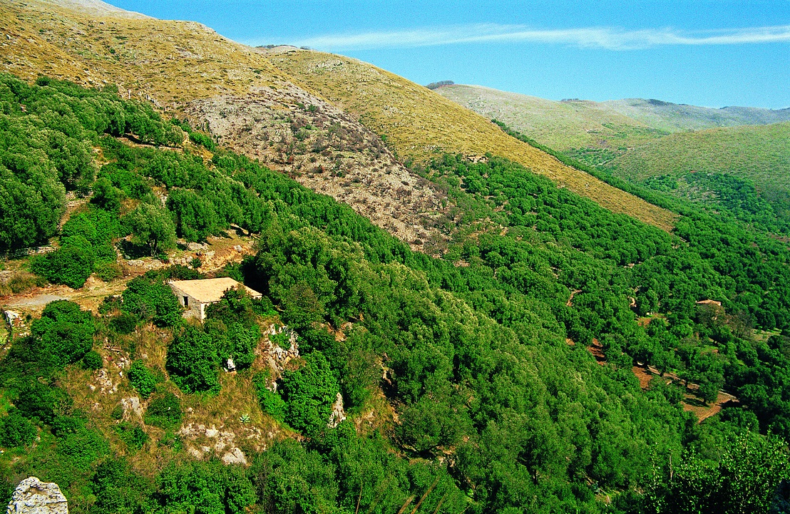 Una natura non addomesticata, il grande attrattore del Cilento interno