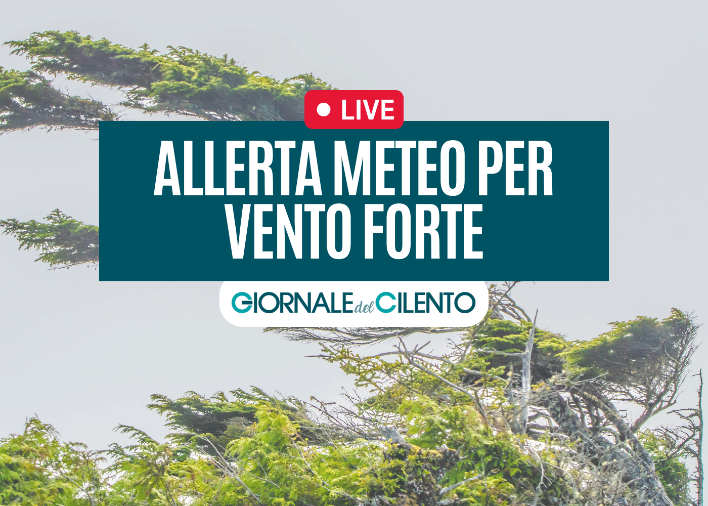 Cilento, allerta meteo per vento forte