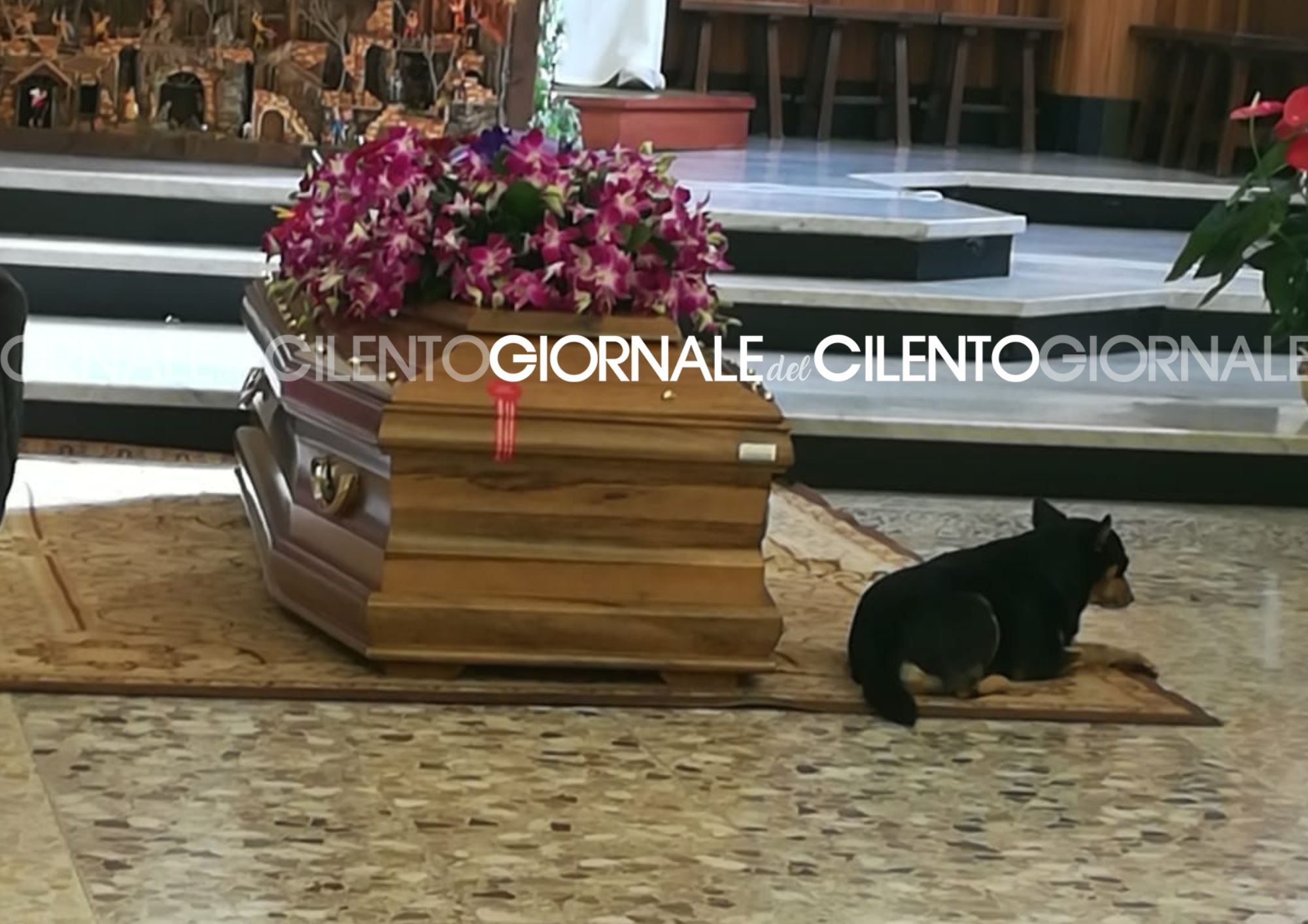 Roby, il cane veglia il feretro dell’amato padrone in chiesa a Polla