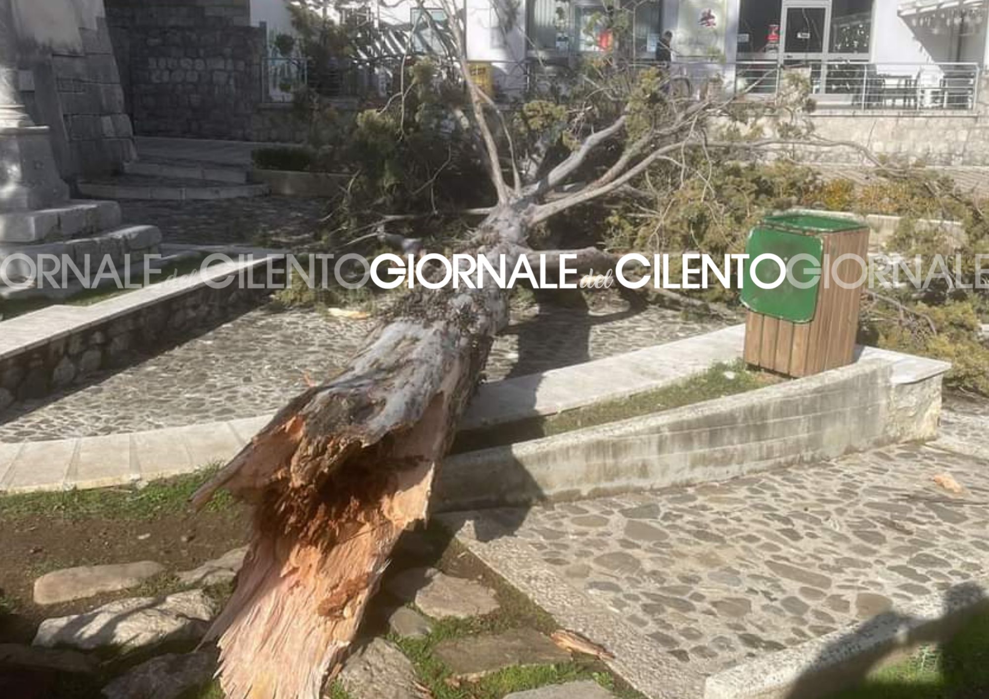 Tragedia sfiorata a Sanza, albero cade davanti la porta d’ingresso della chiesa