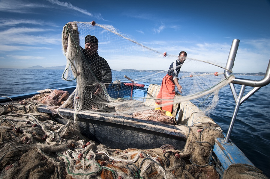 “A misura di mare”, giornata tematica del Parco del Cilento, dedicata al pescato locale: il programma