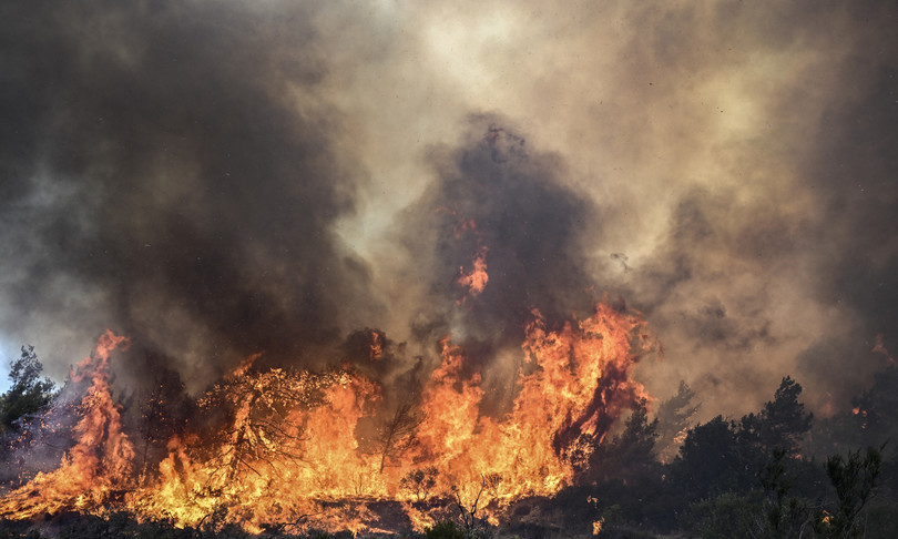 Provocò incendio a Caggiano, condannata guardia ambientale