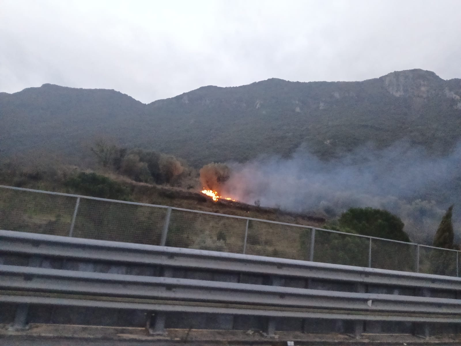 Fiamme allo svincolo di Poderia, nei pressi della rampa d’accesso alla strada