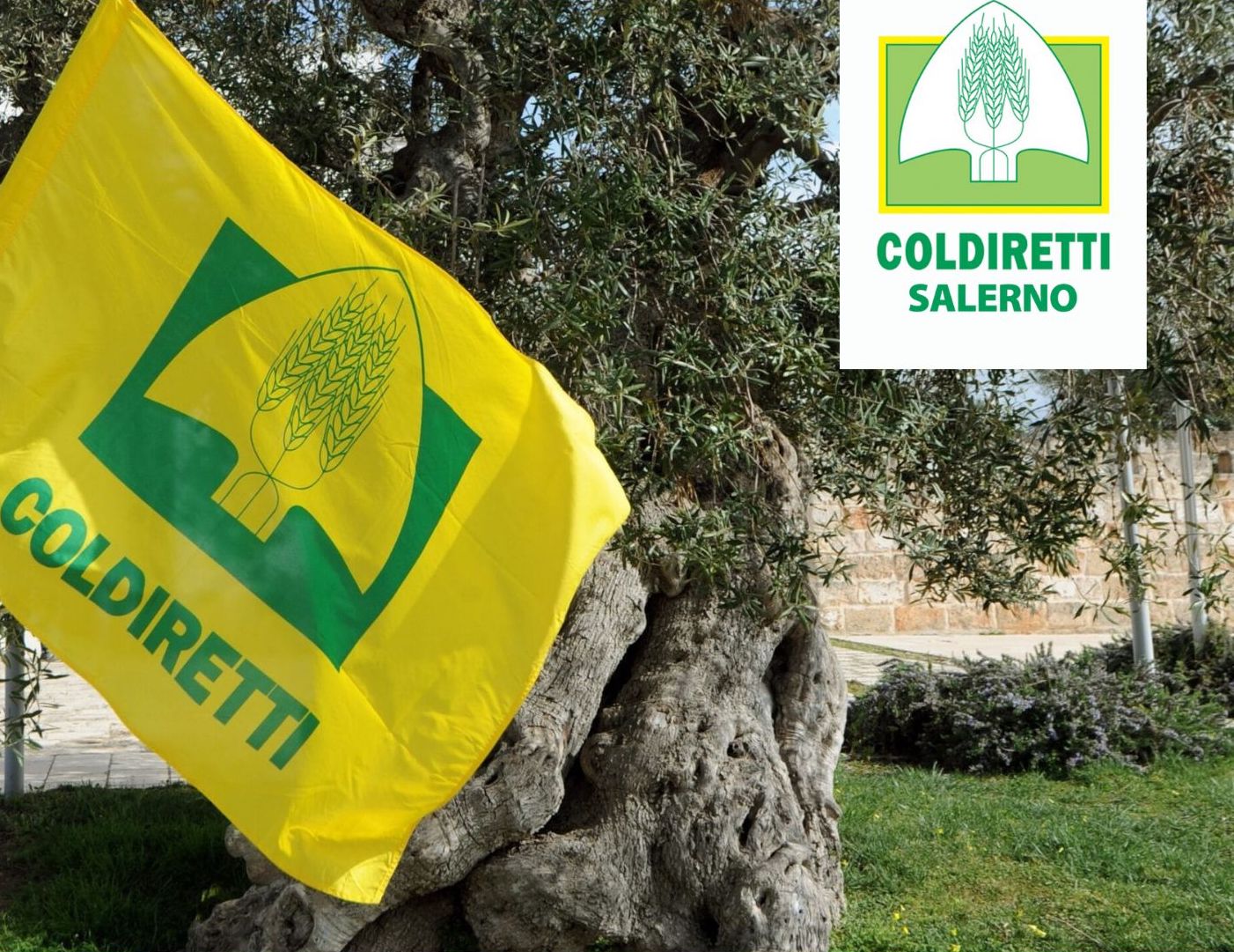 Vallo della Lucania, assemblea territoriale Coldiretti: focus su protesta agricoltori e nuove norme