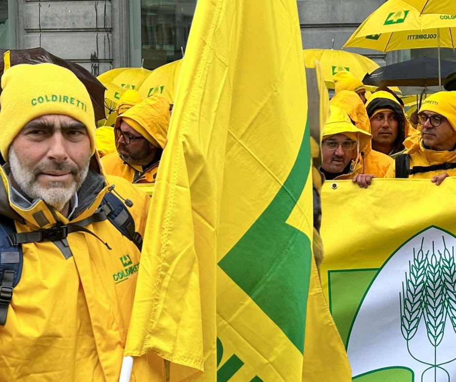 Limoni della Campania, a Bruxelles la protesta dei produttori contro le politiche europee