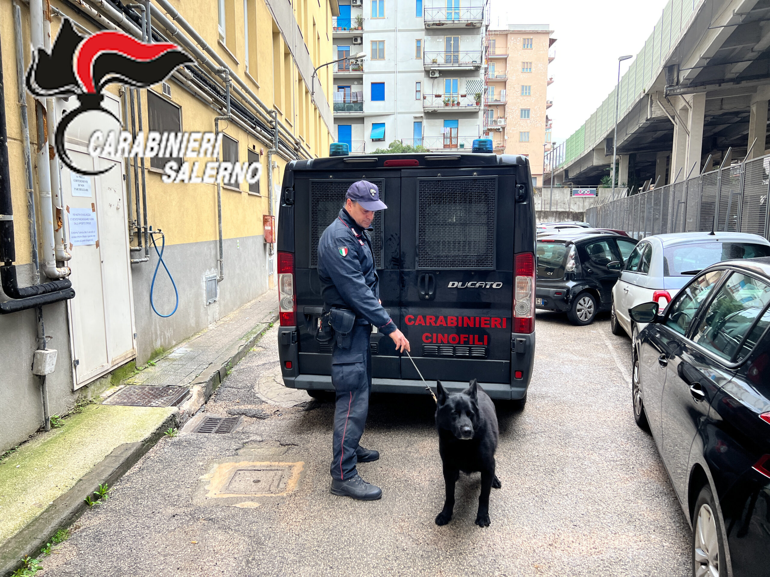 Sala Consilina, controlli antidroga nelle scuole