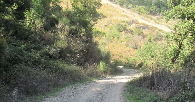 Strada «fantasma» Celso-Casal Velino, Corte dei Conti ordina pagamento di 1,5 mln di euro per danni erariali