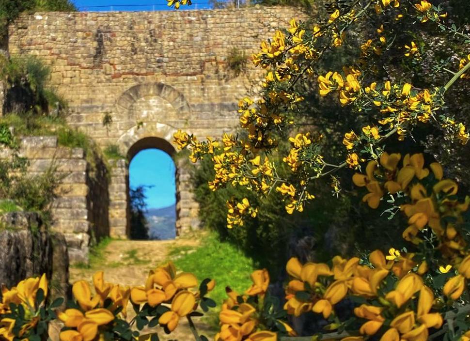 8 marzo, ingresso gratuito per tutte le donne al Parco archeologico di Paestum e Velia